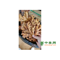 贵州冷库二黄姜
