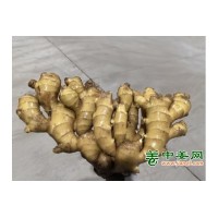 大量出售库姜