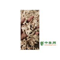 出售优质干姜块、干姜片