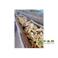 本人大量生姜出售，欢迎选购