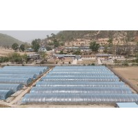 【南泥湾景区农旅大棚直租】