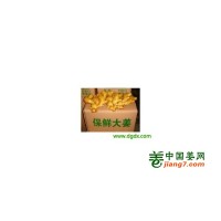 山东生姜产地 山东大黄姜批发，山东小黄姜价格