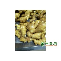 出售生姜，风干姜13176070878