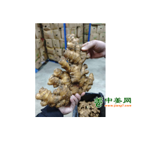 出售贵州二黄姜