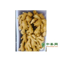 优质昌邑大姜大量有货