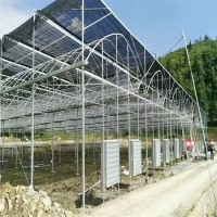 江苏无锡温室大棚 连栋大棚 蔬菜大棚 大棚骨架生产安装一站式厂家